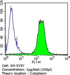 Anti-Spectrin beta 1 antibody [4C3] used in Flow cytometry (FCM). GTX22808