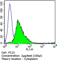 Anti-Calmodulin antibody [2D1] used in Flow cytometry (FCM). GTX22860