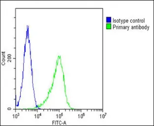 Anti-FGFR2 antibody used in Flow cytometry (FCM). GTX25476
