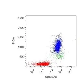Anti-CD13 antibody [WM15] used in Flow cytometry (FCM). GTX27417