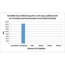 Anti-Histone H3K9me3S10ph (Tri-methyl Lys9 / phospho Ser10) antibody [RM162] used in  (). GTX33602