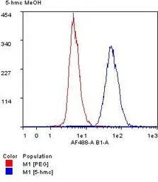 Anti-5-Hydroxymethylcytosine / 5-hmC antibody [RM236] used in Flow cytometry (FCM). GTX33605