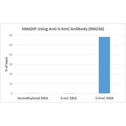 Anti-5-Hydroxymethylcytosine / 5-hmC antibody [RM236] used in Methylated DNA Immunoprecipitation (MeDIP). GTX33605
