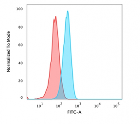 Anti-beta Catenin antibody used in Flow cytometry (FCM). GTX34438