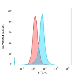 Anti-Calponin 1 antibody [CALP] used in Flow cytometry (FCM). GTX34451