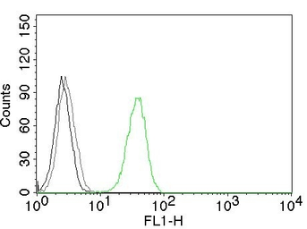 Anti-CD31 antibody [C31.3] used in Flow cytometry (FCM). GTX34490