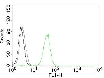 Anti-CD31 antibody [JC70A] used in Flow cytometry (FCM). GTX34495