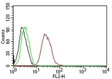 Anti-Estrogen Receptor beta antibody [ESR2/686] used in Flow cytometry (FCM). GTX34712
