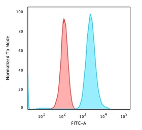 Anti-Fascin 1 antibody [FSCN1/417] used in Flow cytometry (FCM). GTX34718