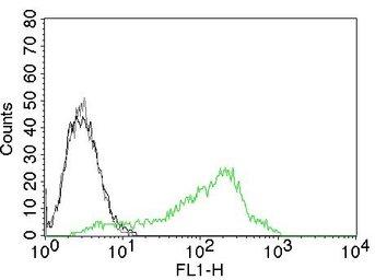 Anti-Nucleolin antibody [NCL/902] used in Flow cytometry (FCM). GTX34914