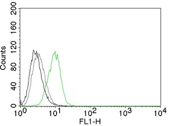 Anti-p27 Kip1 antibody [DCS-72.F6] used in Flow cytometry (FCM). GTX34931