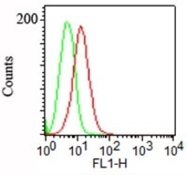 Anti-PODXL antibody [3D3] used in Flow cytometry (FCM). GTX34977