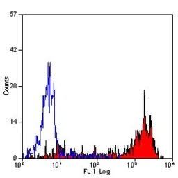 Anti-Ly-6B.2 antibody [7/4] (Low endotoxin, azide free) used in Flow cytometry (FCM). GTX39796