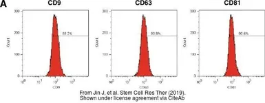 Anti-CD63 antibody [AD1] used in Flow cytometry (FCM). GTX41877