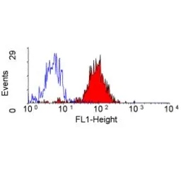 Anti-CD36 antibody [SMØ] used in Flow cytometry (FCM). GTX42050