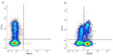 Anti-CD3 epsilon antibody [CD3-12] used in Flow cytometry (FCM). GTX42110