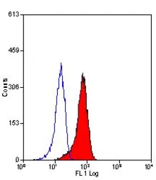 Anti-Mannose Receptor antibody [MR5D3] used in Flow cytometry (FCM). GTX42265