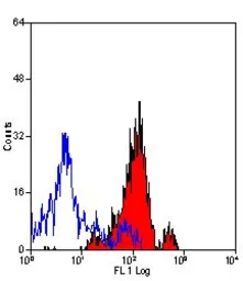 Anti-CD13 antibody [ER-BMDM1] used in Flow cytometry (FCM). GTX42444