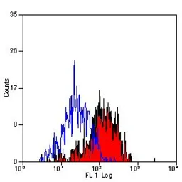 Anti-Dectin-1 antibody [2A11] (FITC) used in Flow cytometry (FCM). GTX43457