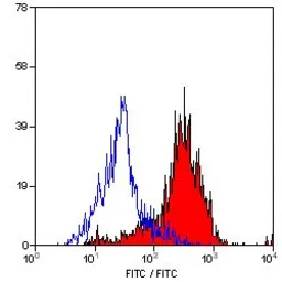 Anti-MSR1 antibody [2F8] (FITC) used in Flow cytometry (FCM). GTX43692