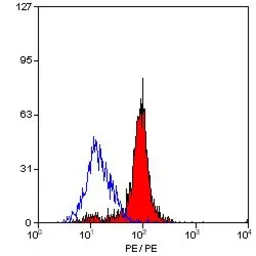 Anti-Dectin-1 antibody [2A11] (Biotin) used in Flow cytometry (FCM). GTX43895