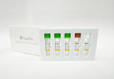 FSD Fluor&trade; 488 Antibody Labeling Kit. GTX440416