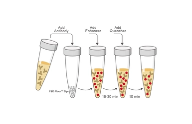 FSD Fluor&trade; 488 Antibody Labeling Kit. GTX440416