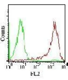 Anti-SSEA-4 antibody [MC-813-70] used in Flow cytometry (FCM). GTX48037