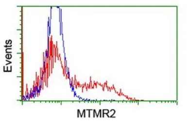 Anti-MTMR2 antibody [5G5] used in Flow cytometry (FCM). GTX49358