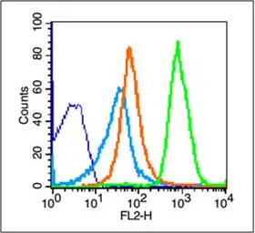Anti-NKG2D antibody used in Flow cytometry (FCM). GTX50988