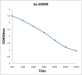 Anti-BOD1 antibody used in ELISA (ELISA). GTX51766