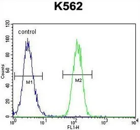 Anti-FOXI3 antibody used in Flow cytometry (FCM). GTX53545