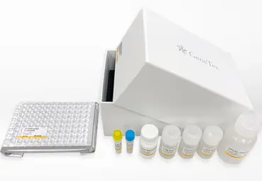 CA19-9 ELISA kit. GTX540620