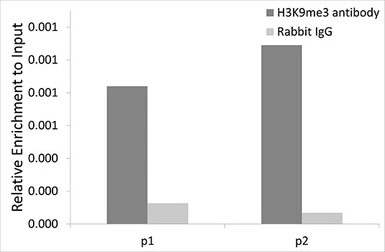 Anti-Histone H3K9me3 (tri-methyl Lys9) antibody used in ChIP assay (ChIP assay). GTX54103