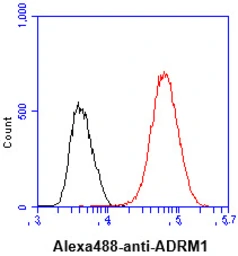 Anti-ADRM1 antibody [AT34C2] used in Flow cytometry (FCM). GTX57566