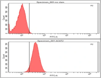 Anti-ACAT2 antibody [AT55D5] used in Flow cytometry (FCM). GTX57610