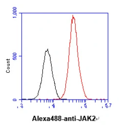 Anti-JAK2 antibody [AT53B7] used in Flow cytometry (FCM). GTX57670