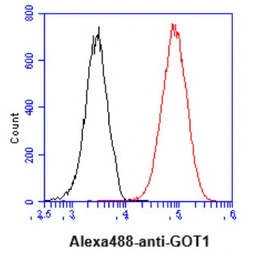 Anti-GOT1 antibody [AT3G11] used in Flow cytometry (FCM). GTX57691