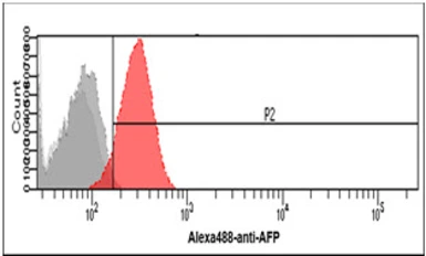 Anti-Alpha fetoprotein / AFP antibody [AT73E10] used in Flow cytometry (FCM). GTX57721