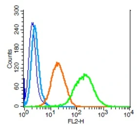 Anti-LIFR antibody used in Flow cytometry (FCM). GTX60183