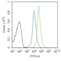 Anti-S100A8 antibody used in Flow cytometry (FCM). GTX60206