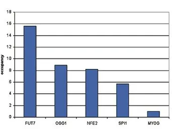 Anti-CBFb antibody - ChIP grade used in ChIP assay (ChIP assay). GTX60333