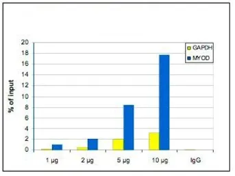 Anti-Histone H3K36me1 (Mono-methyl Lys36) antibody - ChIP grade used in ChIP assay (ChIP assay). GTX60354