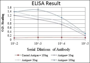 Anti-MEK6 antibody [3H12B9] used in ELISA (ELISA). GTX60397