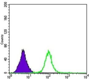 Anti-Apolipoprotein B antibody [6G6] used in Flow cytometry (FCM). GTX60445