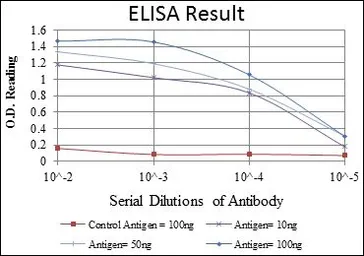 Anti-Glucokinase antibody [4G6] used in ELISA (ELISA). GTX60474
