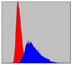 Anti-ITK antibody [5G6] used in Flow cytometry (FCM). GTX60475