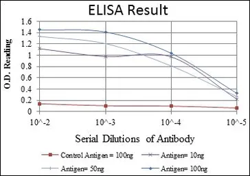 Anti-Cytokeratin 19 antibody [4E8] used in ELISA (ELISA). GTX60480