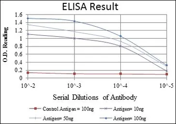 Anti-CBL antibody [3B12] used in ELISA (ELISA). GTX60481