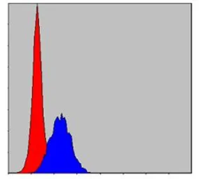 Anti-CBL antibody [3B12] used in Flow cytometry (FCM). GTX60481